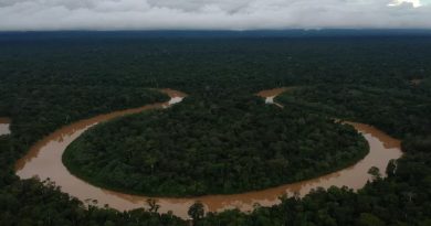 ‘Rios voadores’ de Terras Indígenas da Amazônia irrigam 80% de todas as áreas agropecuárias do Brasil