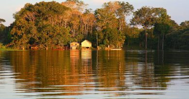 Viva a Amazônia! Aceleradora de negócios amazônicos celebra esta data investindo na sociobioeconomia regional.