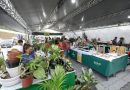 Expoagro será realizada entre os dias 24 e 29 de setembro