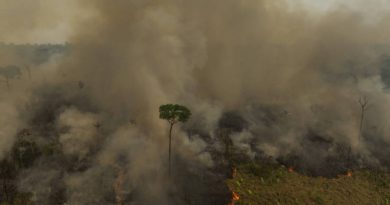 Lula assina MP com crédito extraordinário de R$ 514 mi para combate a queimadas na Amazônia