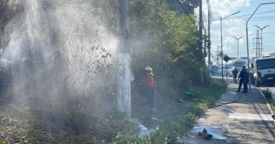 Polícia Federal investiga incêndio na área do Inpa em Manaus