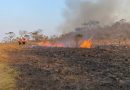 Valor Econômico__Polícia Federal já abriu 52 inquéritos sobre incêndios pelo Brasil