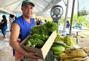 Feira de Produtos Regionais no Espaço Agro Sustentável ADS na Expoagro